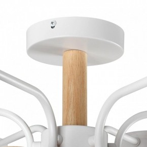 Люстра на штанге Lumion Rondo 8231/6C в Можге - mozhga.mebel24.online | фото 8