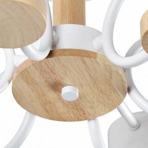 Люстра на штанге Lumion Rondo 8231/6C в Можге - mozhga.mebel24.online | фото 9