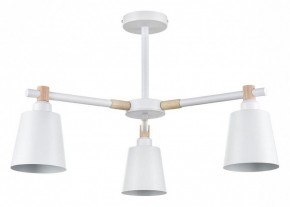 Люстра на штанге Lumion Rosalina 8097/3C в Можге - mozhga.mebel24.online | фото