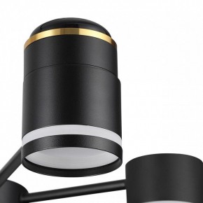 Люстра на штанге Lumion Virsava 8234/6C в Можге - mozhga.mebel24.online | фото 8