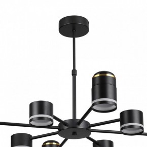 Люстра на штанге Lumion Virsava 8234/8C в Можге - mozhga.mebel24.online | фото 5