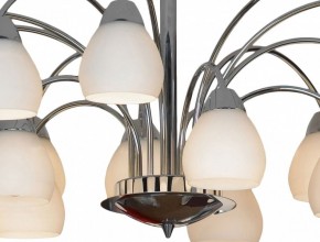 Люстра на штанге Lussole Apiro LSF-2403-15 в Можге - mozhga.mebel24.online | фото 2