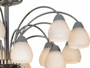 Люстра на штанге Lussole Apiro LSF-2403-15 в Можге - mozhga.mebel24.online | фото 3