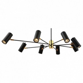 Люстра на штанге Lussole Duncan LSP-8252 в Можге - mozhga.mebel24.online | фото 2