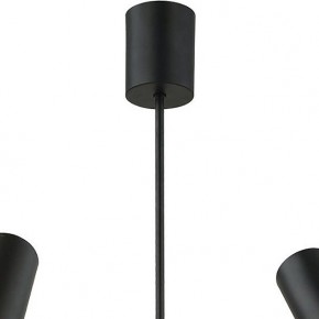 Люстра на штанге Lussole Duncan LSP-8252 в Можге - mozhga.mebel24.online | фото 6