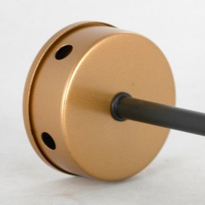 Люстра на штанге Lussole Durham LSP-8796 в Можге - mozhga.mebel24.online | фото 4