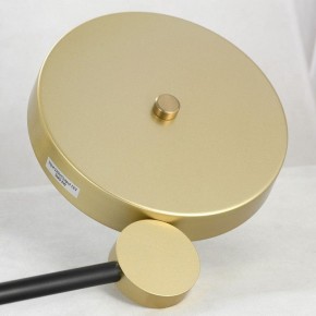 Люстра на штанге Lussole Gilbert LSP-8433 в Можге - mozhga.mebel24.online | фото 4