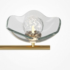 Люстра на штанге Maytoni Miracle MOD207PL-05BS в Можге - mozhga.mebel24.online | фото 5