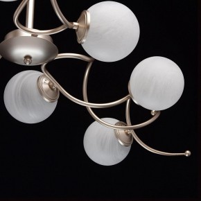 Люстра на штанге MW-Light Оливия 5 306012709 в Можге - mozhga.mebel24.online | фото 10