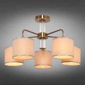 Люстра на штанге Omnilux Barumini OML-56907-05 в Можге - mozhga.mebel24.online | фото 2