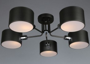 Люстра на штанге Omnilux Lisera OML-54507-05 в Можге - mozhga.mebel24.online | фото 3