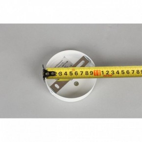 Люстра на штанге Omnilux Mearino OML-29717-08 в Можге - mozhga.mebel24.online | фото 10