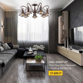 Люстра на штанге Omnilux Molfetta OML-50607-07 в Можге - mozhga.mebel24.online | фото 2