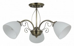 Люстра на штанге Rivoli Sue Б0060985 в Можге - mozhga.mebel24.online | фото