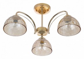 Люстра на штанге Rivoli Terri Б0060988 в Можге - mozhga.mebel24.online | фото 2