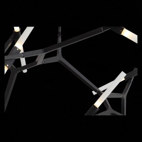 Люстра на штанге ST-Luce Laconicita SL947.402.20 в Можге - mozhga.mebel24.online | фото 12