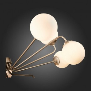 Люстра на штанге ST-Luce Redjino SLE106203-12 в Можге - mozhga.mebel24.online | фото 7