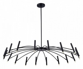 Люстра на штанге ST-Luce Spidey SL1214.402.18 в Можге - mozhga.mebel24.online | фото 2