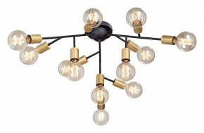 Люстра на штанге Vitaluce 4959 V4959-1/12PL в Можге - mozhga.mebel24.online | фото