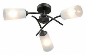 Люстра на штанге Vitaluce V2850 V2850-1/3PL в Можге - mozhga.mebel24.online | фото 2