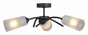 Люстра на штанге Vitaluce V2850 V2850-1/3PL в Можге - mozhga.mebel24.online | фото 3