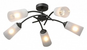 Люстра на штанге Vitaluce V2850 V2850-1/5PL в Можге - mozhga.mebel24.online | фото 2