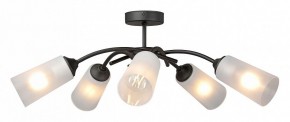 Люстра на штанге Vitaluce V2850 V2850-1/5PL в Можге - mozhga.mebel24.online | фото 3