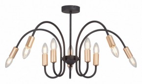 Люстра на штанге Vitaluce V3026 V3026-1/10PL в Можге - mozhga.mebel24.online | фото 2