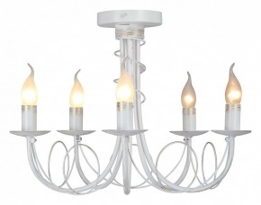 Люстра на штанге Vitaluce V3035 V3035-0/5PL в Можге - mozhga.mebel24.online | фото 2