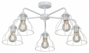 Люстра на штанге Vitaluce V3102 V3102-0/5PL в Можге - mozhga.mebel24.online | фото