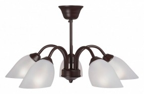 Люстра на штанге Vitaluce V3335 V3335-7/5PL в Можге - mozhga.mebel24.online | фото