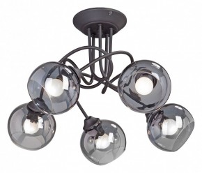 Люстра на штанге Vitaluce  V4309-1/5PL в Можге - mozhga.mebel24.online | фото