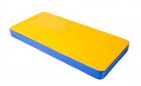Мат гимнастический 1х0,5х0,08м цв. синий-желтый в Можге - mozhga.mebel24.online | фото