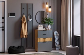 МЕБЕЛЬСОН К21 Прихожая  (графит) в Можге - mozhga.mebel24.online | фото