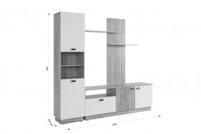 МОДИ Гостиная (модульная) белое дерево в Можге - mozhga.mebel24.online | фото 2