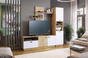 МОДИ К1 Гостиная (белое дерево) в Можге - mozhga.mebel24.online | фото
