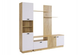 МОДИ К1 Гостиная (белое дерево) в Можге - mozhga.mebel24.online | фото 6