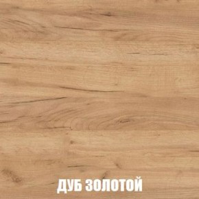 МСП-1 Шкаф 2-х створчатый (Дуб Золотой/Камень темный) в Можге - mozhga.mebel24.online | фото 4