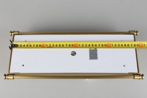 Накладной светильник Aployt Zoe APL.806.01.02 в Можге - mozhga.mebel24.online | фото 9