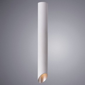Накладной светильник Arte Lamp Pilon-Silver A1537PL-1WH в Можге - mozhga.mebel24.online | фото 2