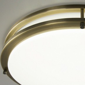 Накладной светильник Citilux Бостон CL709503N в Можге - mozhga.mebel24.online | фото 12