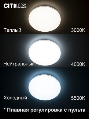 Накладной светильник Citilux Симпла CL714330G в Можге - mozhga.mebel24.online | фото 4