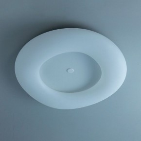 Накладной светильник Citilux Стратус Смарт CL732A800G в Можге - mozhga.mebel24.online | фото 10