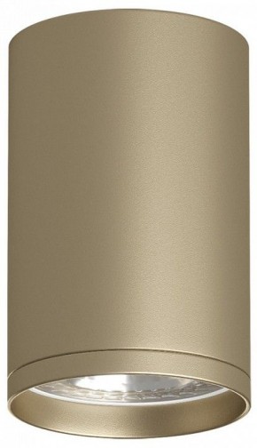 Накладной светильник Denkirs TUBE DK2050-SG в Можге - mozhga.mebel24.online | фото 1