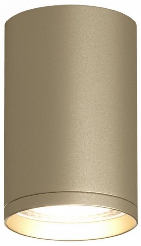 Накладной светильник Denkirs TUBE DK2050-SG в Можге - mozhga.mebel24.online | фото 2