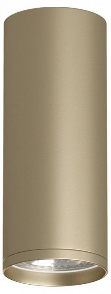 Накладной светильник Denkirs TUBE DK2051-SG в Можге - mozhga.mebel24.online | фото 1