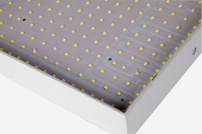 Накладной светильник Favourite Flashled 2066-30C в Можге - mozhga.mebel24.online | фото 2