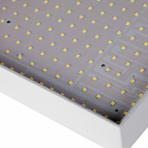 Накладной светильник Favourite Flashled 2066-30C в Можге - mozhga.mebel24.online | фото 4