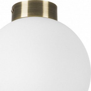Накладной светильник Lightstar Globo 812021 в Можге - mozhga.mebel24.online | фото 3