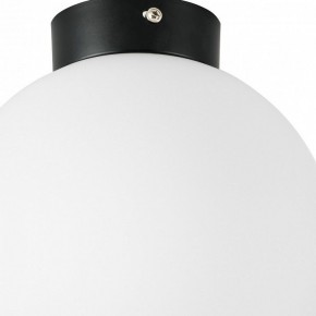 Накладной светильник Lightstar Globo 812027 в Можге - mozhga.mebel24.online | фото 2